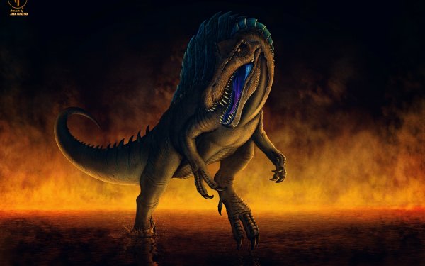 Animal Dinosaur Dinosaurs Spinosaurus HD Wallpaper | Background Image