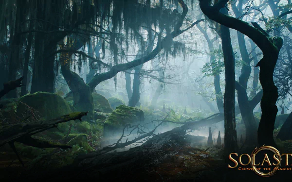 video game Solasta: Crown of the Magister HD Desktop Wallpaper | Background Image