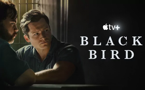 Taron Egerton TV Show Black Bird HD Desktop Wallpaper | Background Image
