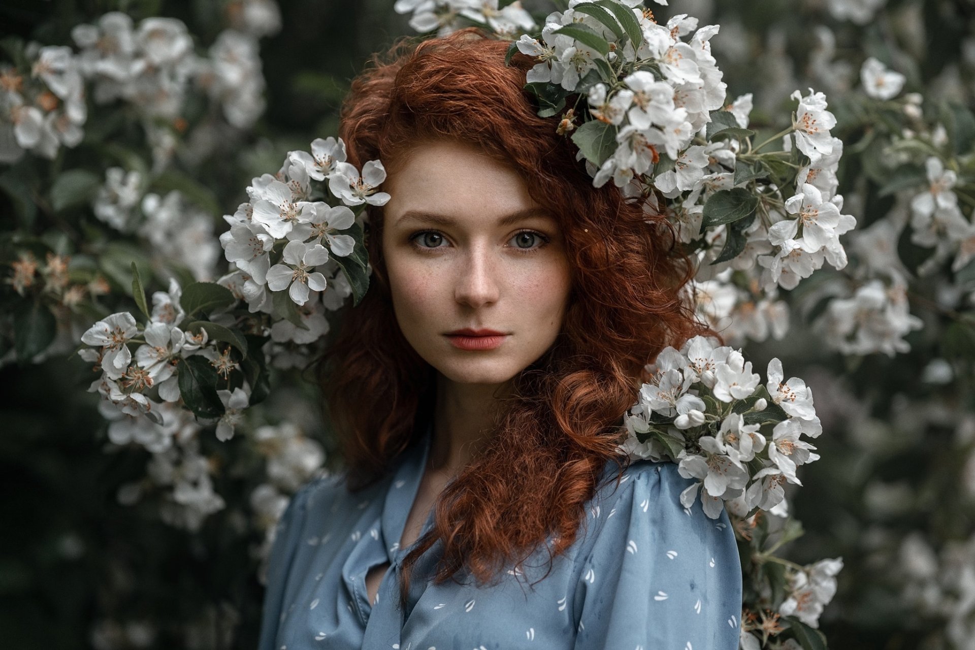 HD PC desktop wallpaper of a red‑haired woman model in a blue dress framed by white blossoms, soft natural light and a serene, moody portrait background.