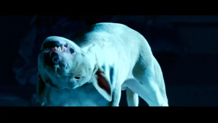 movie Unborn HD Desktop Wallpaper | Background Image