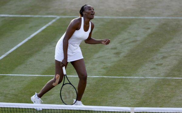Sports Venus Williams Tennis American HD Wallpaper | Background Image