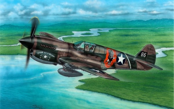 Military Curtiss P-40 Warhawk Military Aircraft HD Wallpaper | Background Image