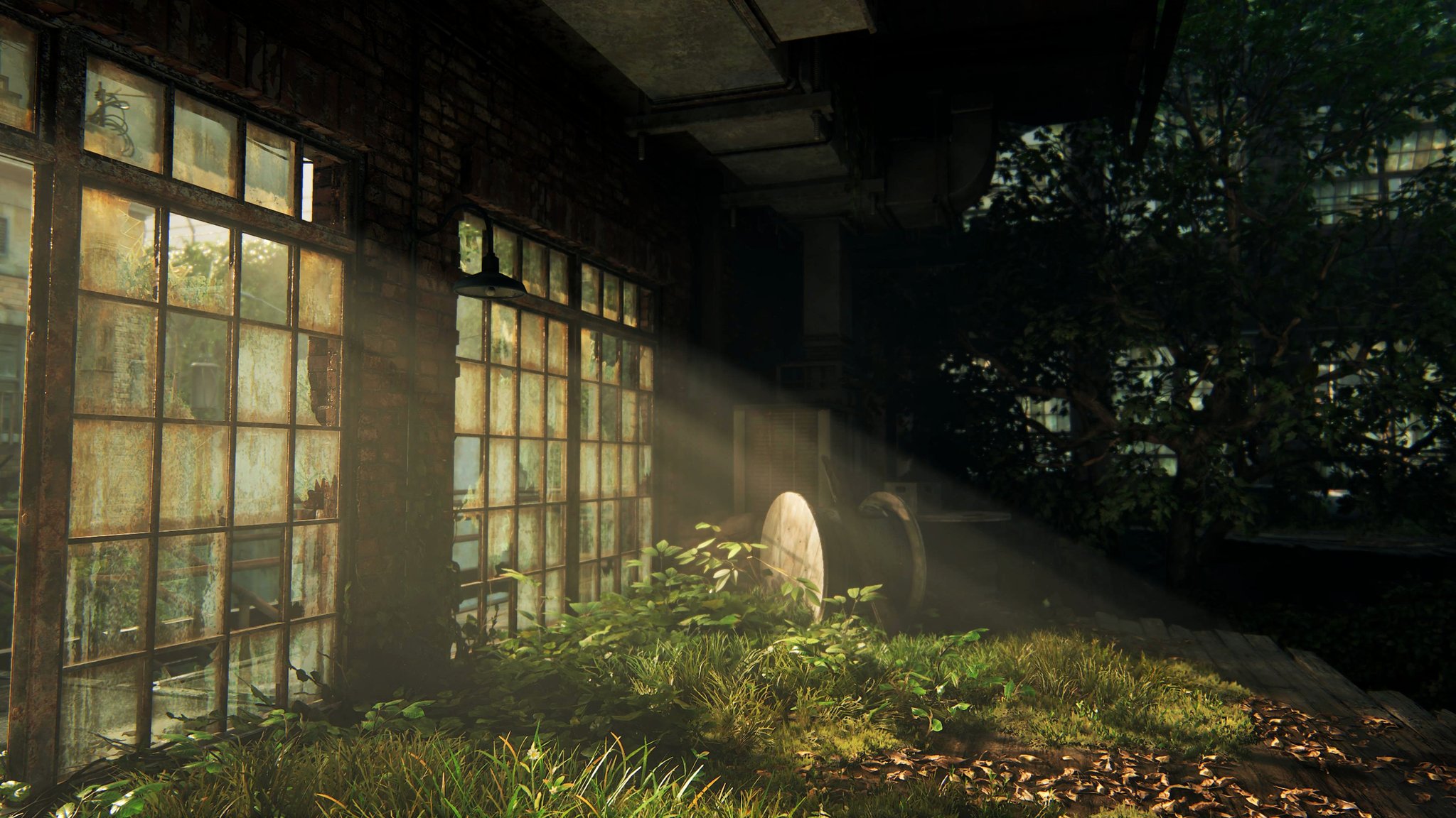 Video Game The Last of Us Part I HD Wallpaper | Background Image