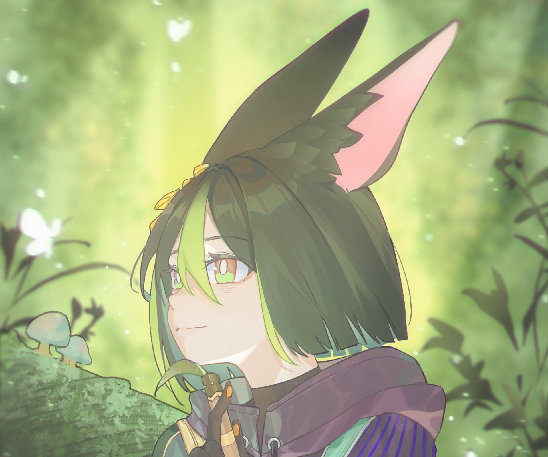 Download Tighnari (Genshin Impact) Video Game Genshin Impact HD Wallpaper by Yonab