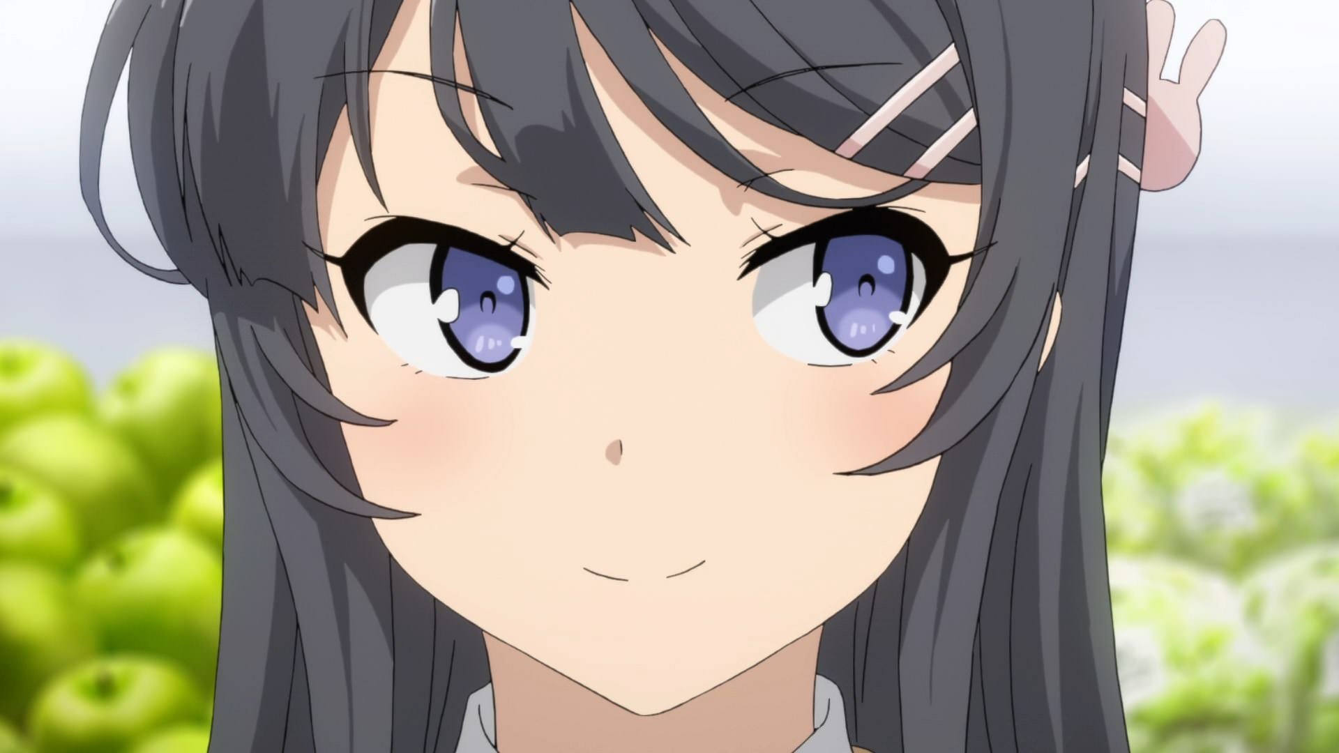 Seishun Buta Yarou Wa Bunny Girl Senpai No Yume Wo Minai Fondos De Pantalla Hd Y Fondos De