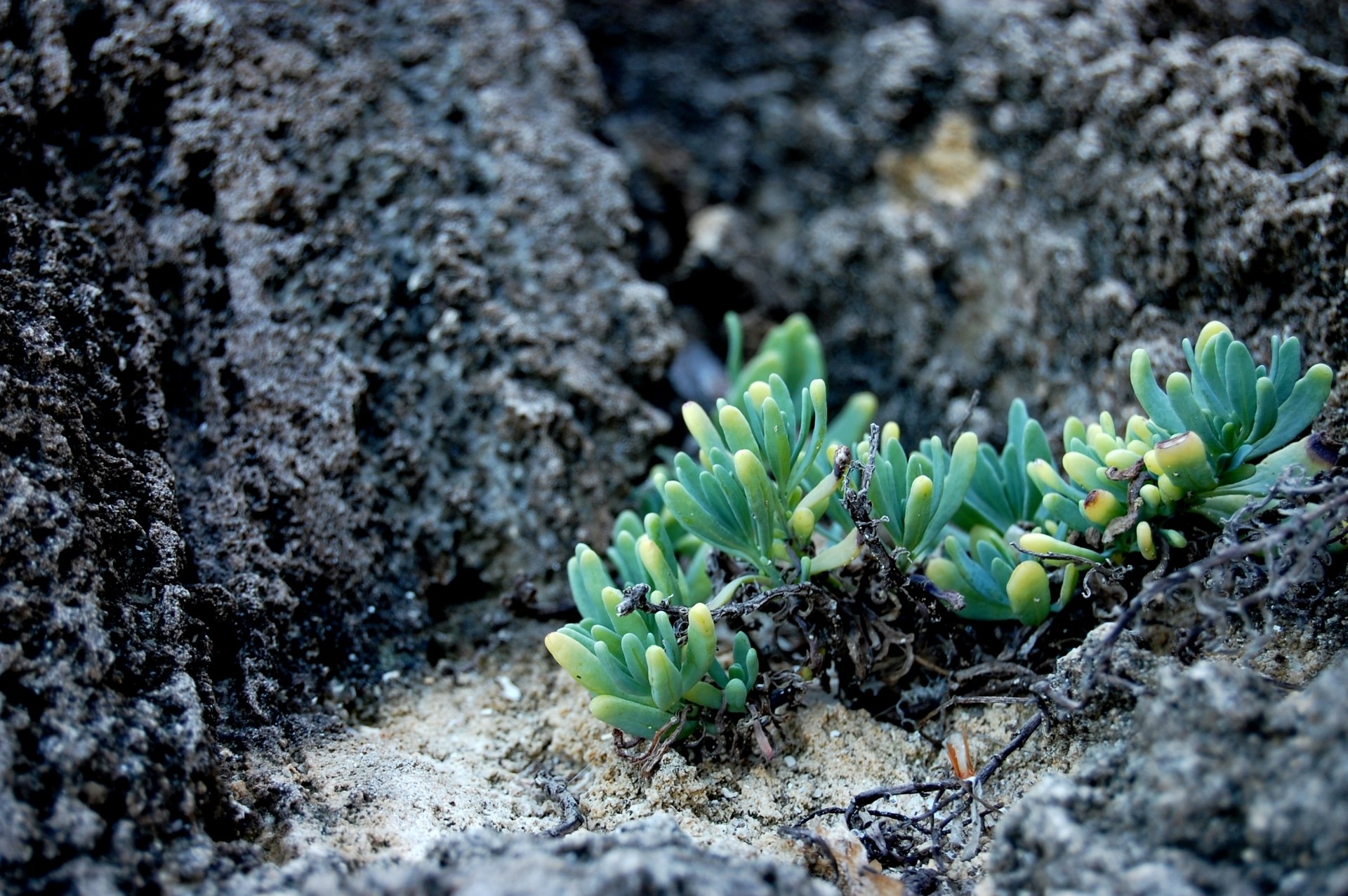 Download Photography Nature HD Wallpaper by BbSGH