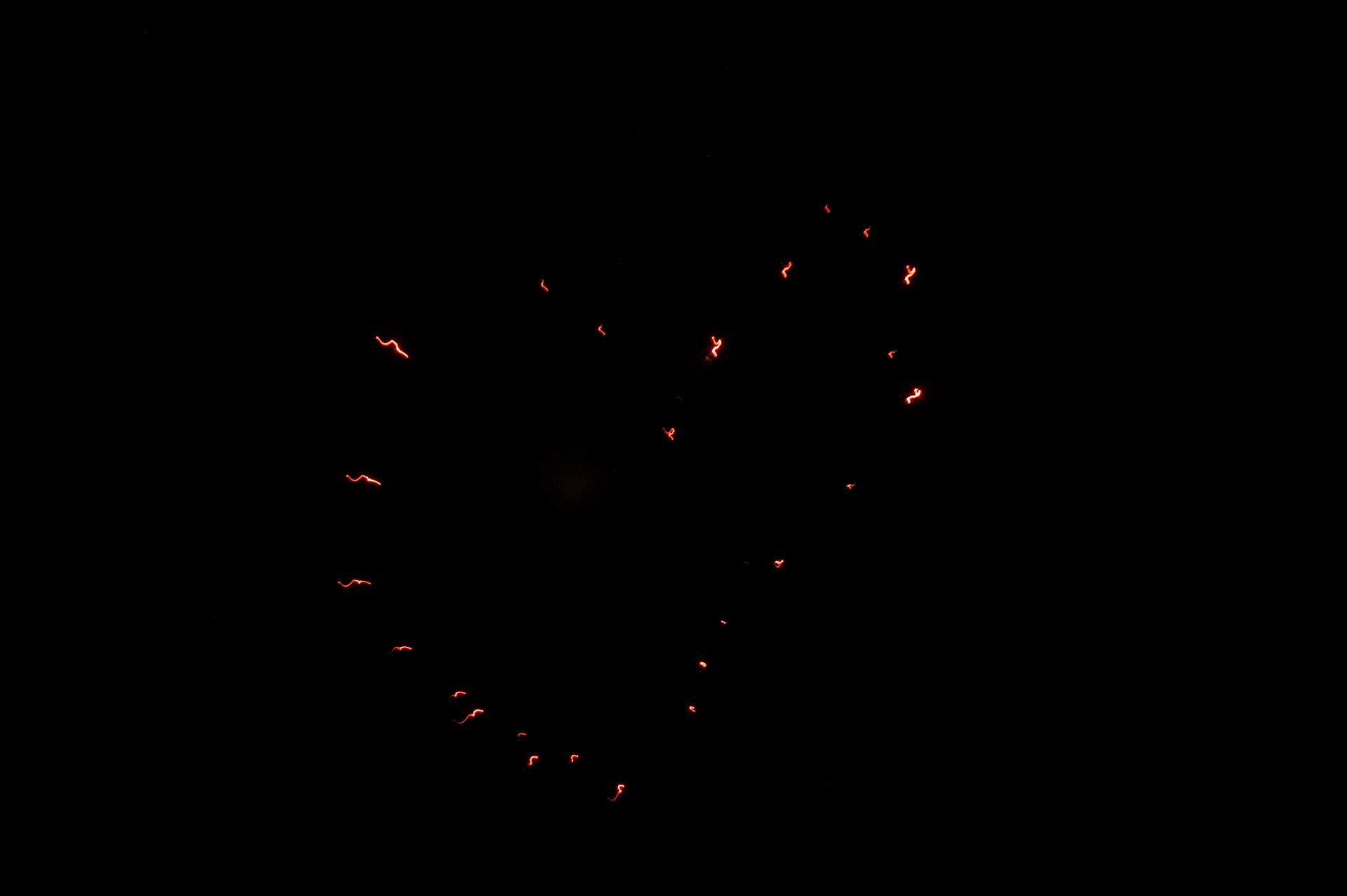 Download Photography Fireworks HD Wallpaper by BbSGH