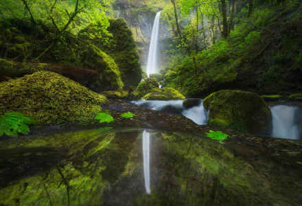 nature waterfall HD Desktop Wallpaper | Background Image