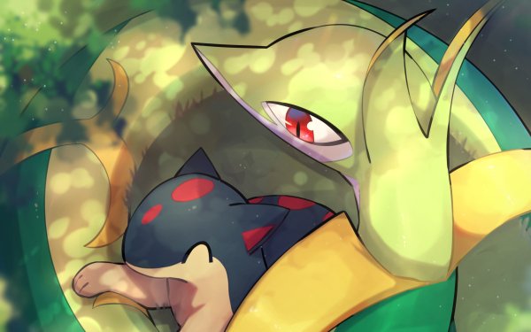 Video Game Pokémon Quilava Serperior HD Wallpaper | Background Image