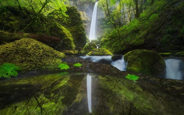 Nature Waterfall Waterfalls HD Wallpaper | Background Image