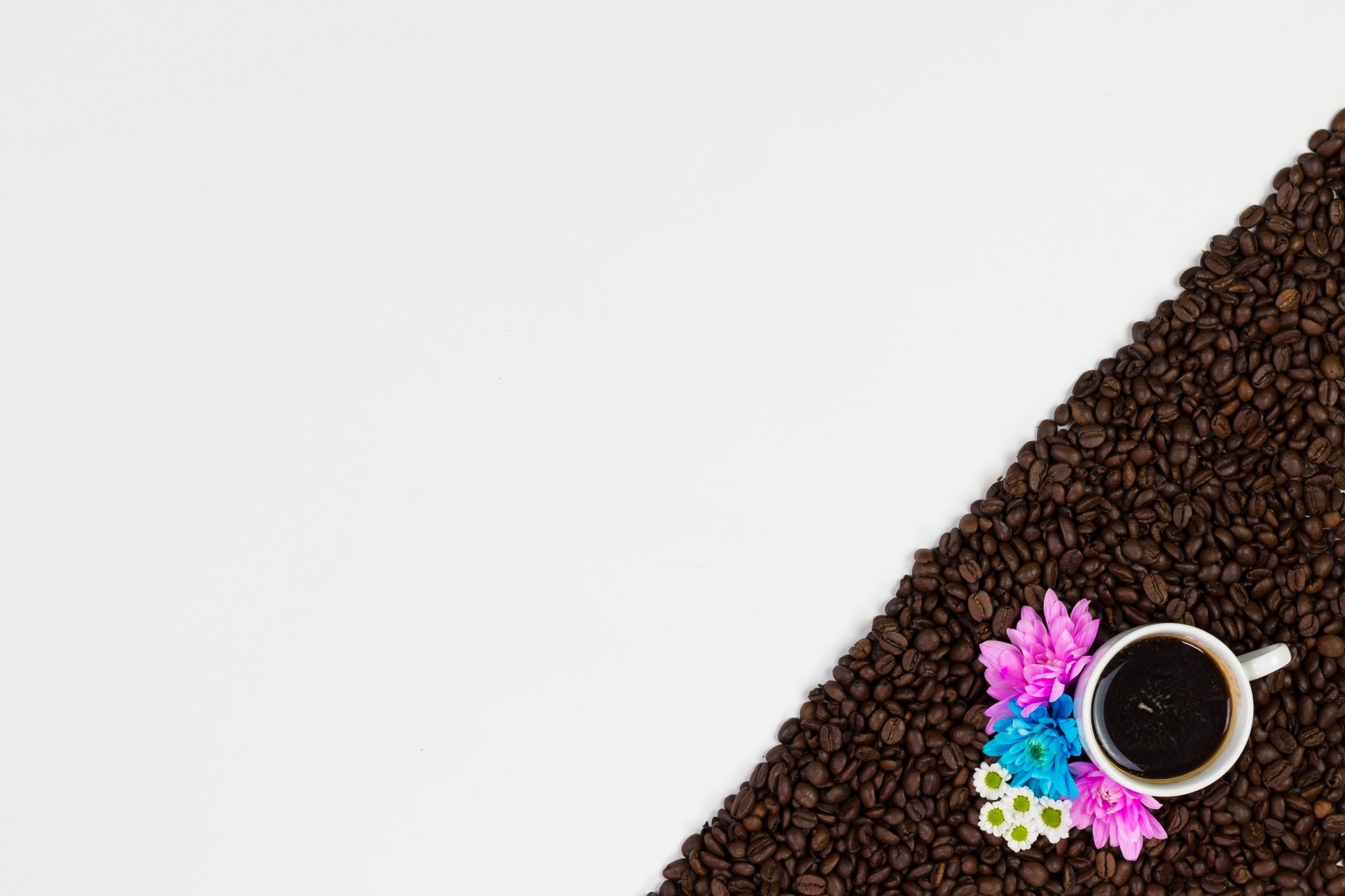 Download Coffee Beans Food Coffee 4k Ultra HD Wallpaper