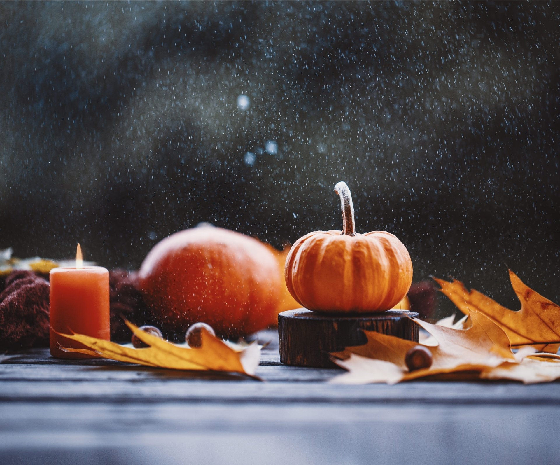 Download Food Pumpkin HD Wallpaper