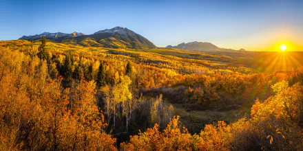 Vibrant fall landscape with golden trees and distant mountains under a clear sky, captured in stunning 8K Ultra HD for a striking nature desktop wallpaper.