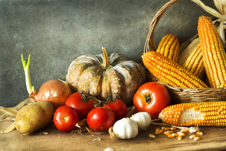 food still life harvest HD Desktop Wallpaper | Background Image