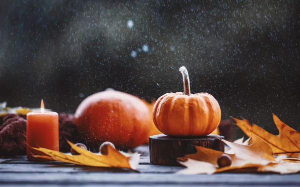 food pumpkin HD Desktop Wallpaper | Background Image