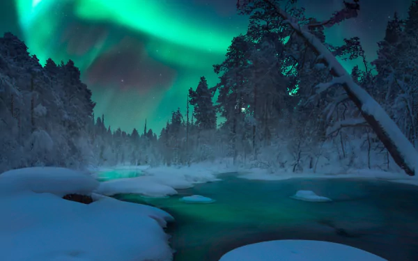winter night nature aurora borealis winter night HD Desktop Wallpaper | Background Image