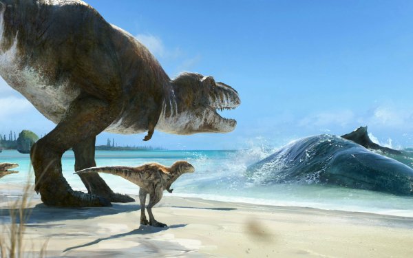 Animal Dinosaur Dinosaurs Tyrannosaurus Rex HD Wallpaper | Background Image