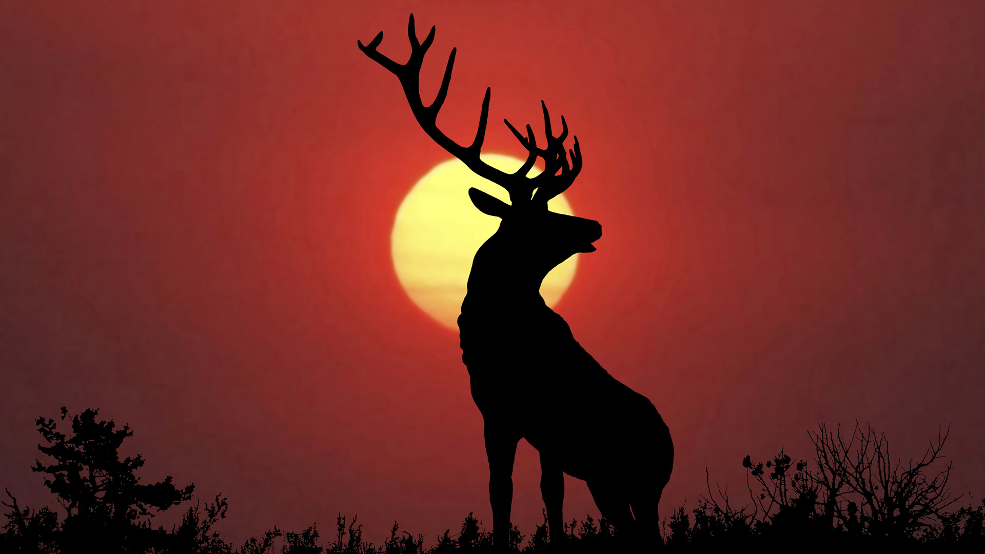 Silhouette of a majestic deer against a scenic background.