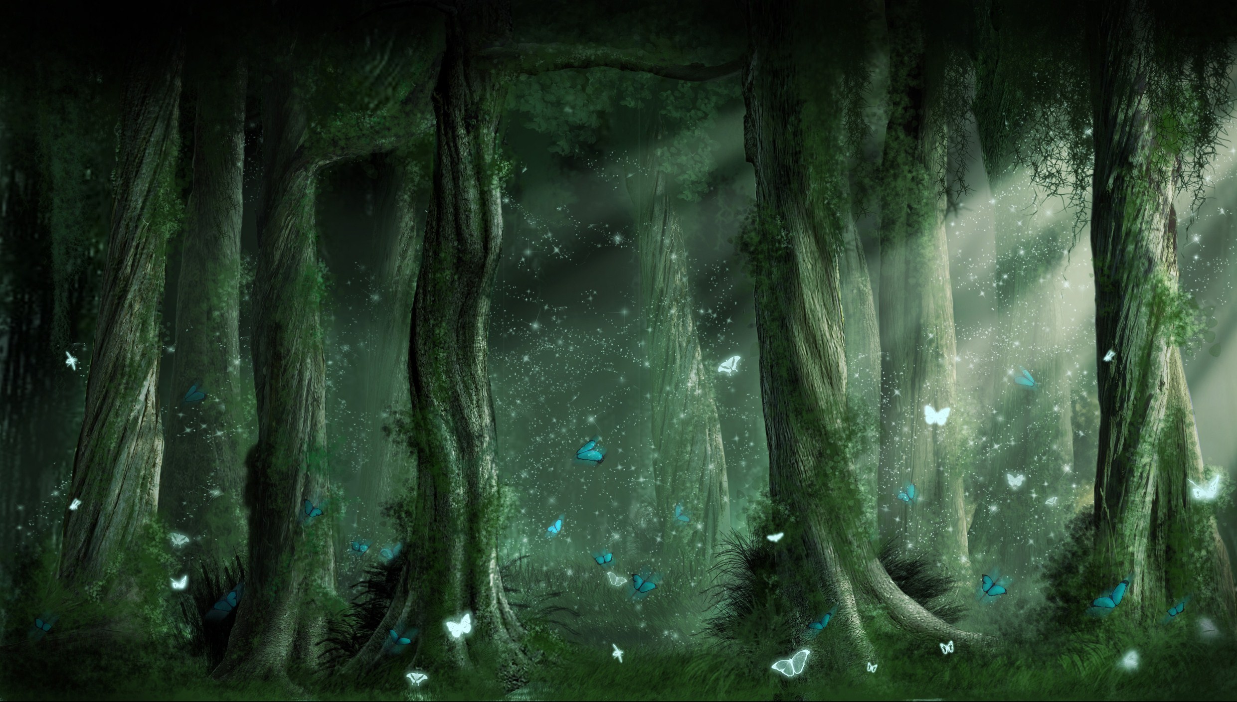 Fantasy Forest HD Wallpaper | Background Image