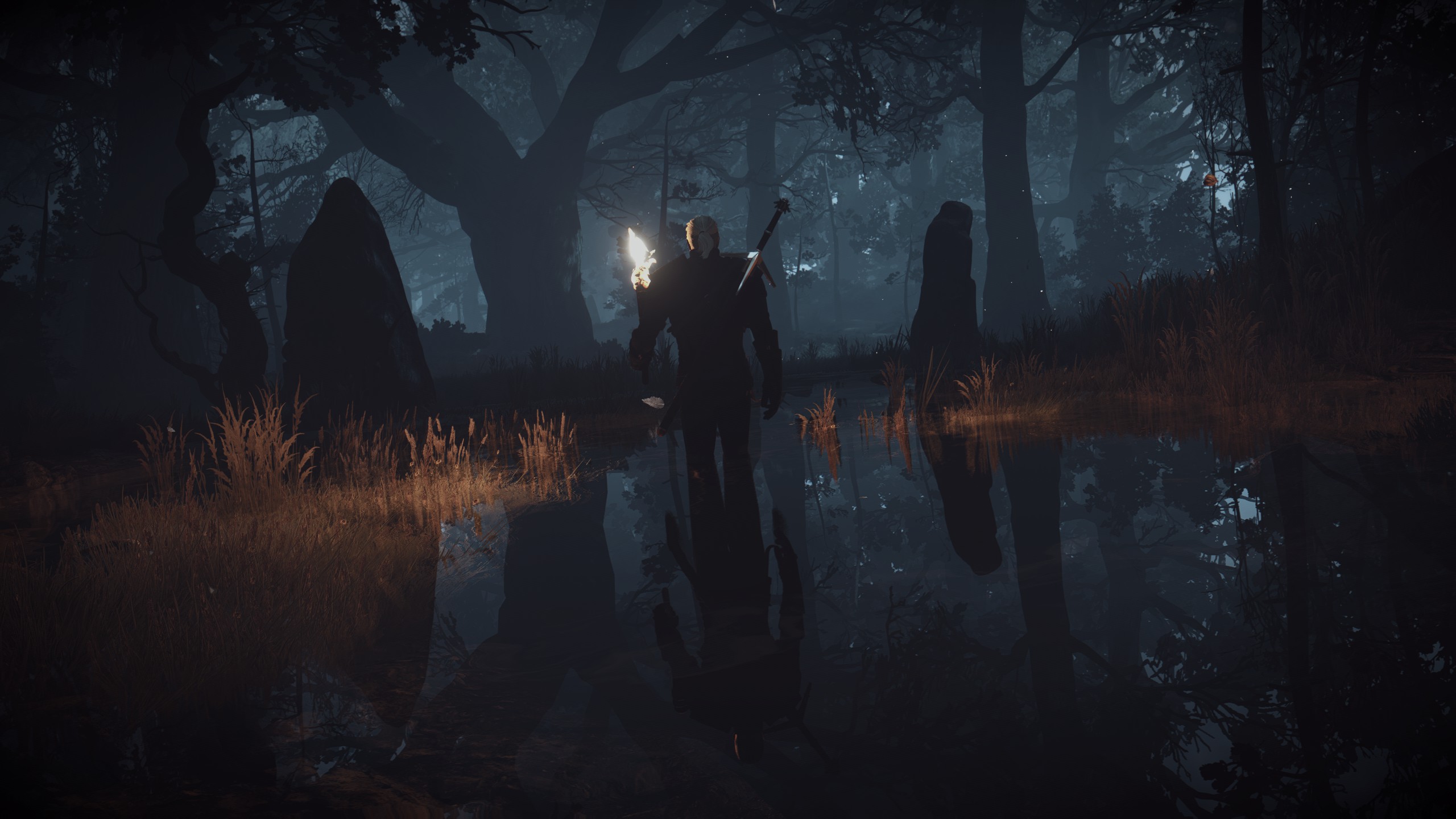 Download Video Game The Witcher 3 Wild Hunt HD Wallpaper by Quinto