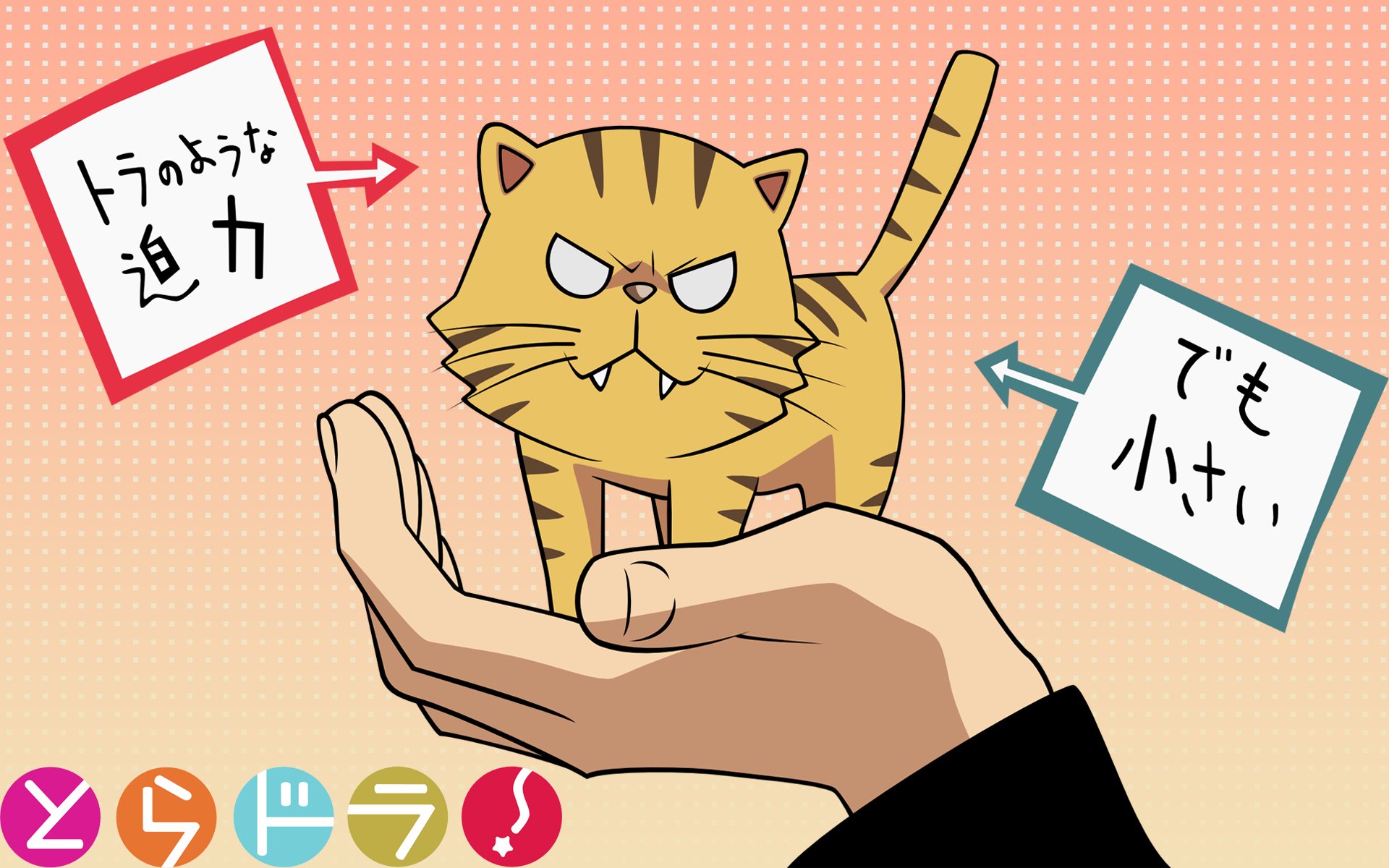 A vibrant HD desktop wallpaper featuring an anime scene from Toradora! showcases a playful cat resting on a hand, accompanied by speech bubbles highlighting its fierce yet small demeanor.