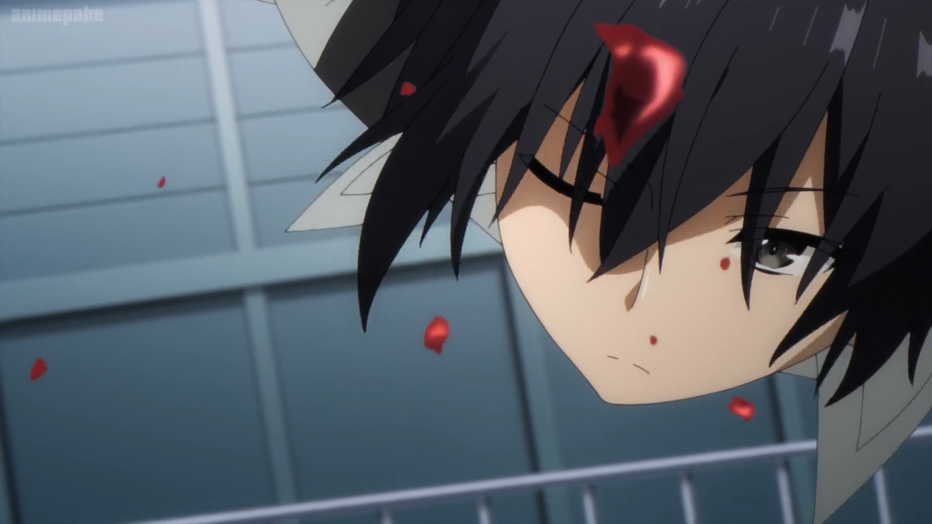 Close-up of Cid Kagenou from the anime The Eminence in Shadow, dark-haired with one eye obscured and red petals drifting; HD PC desktop wallpaper background.