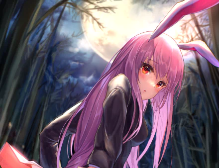  Reisen Udongein Inaba by nyome991