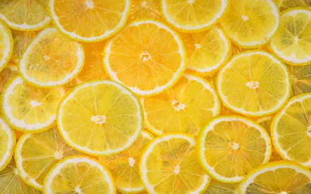 food lemon HD Desktop Wallpaper | Background Image