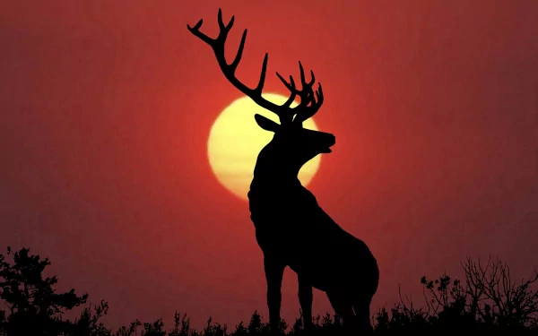 A striking silhouette of a deer against a vibrant sunset, creating a stunning HD desktop wallpaper and background that captures the beauty of nature.