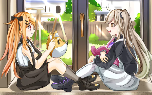  UMP45 &amp; UMP9 - UMP Twins