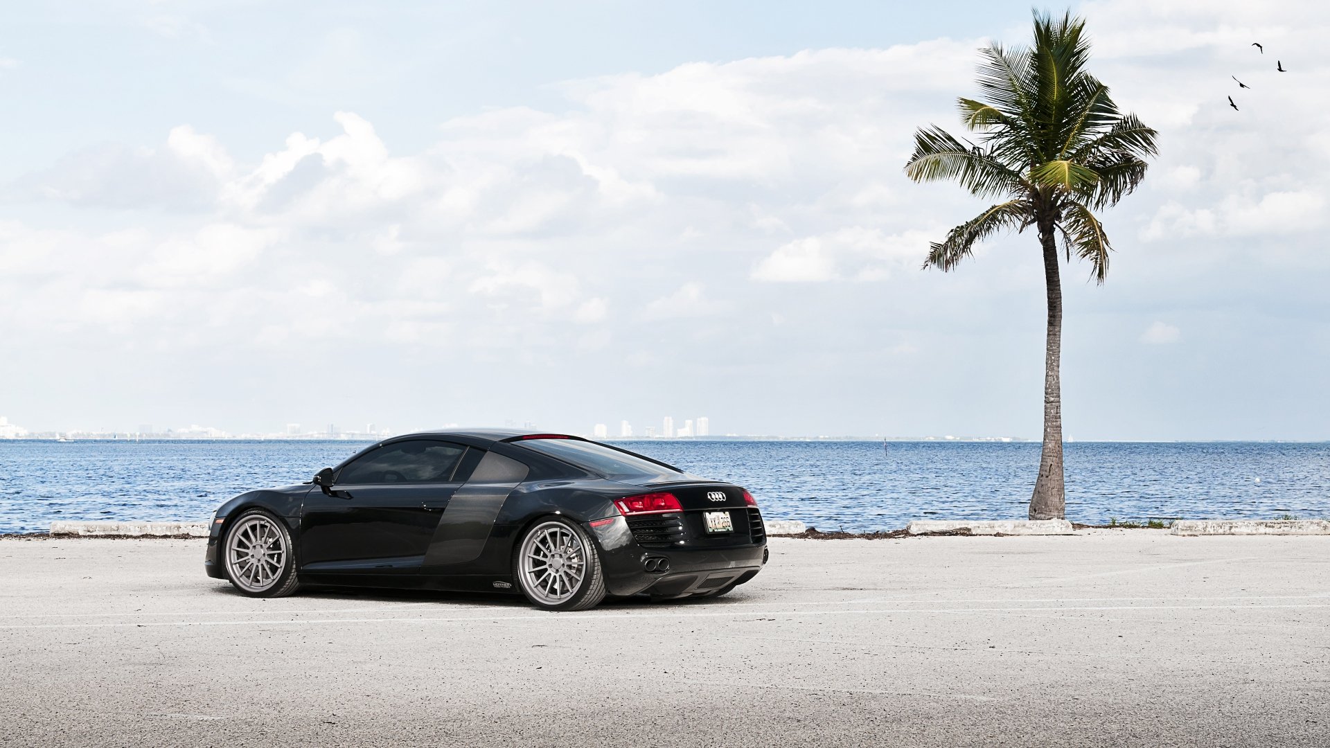 Audi R8 V10 new car supercar sports america carbon HD phone wallpaper   Peakpx