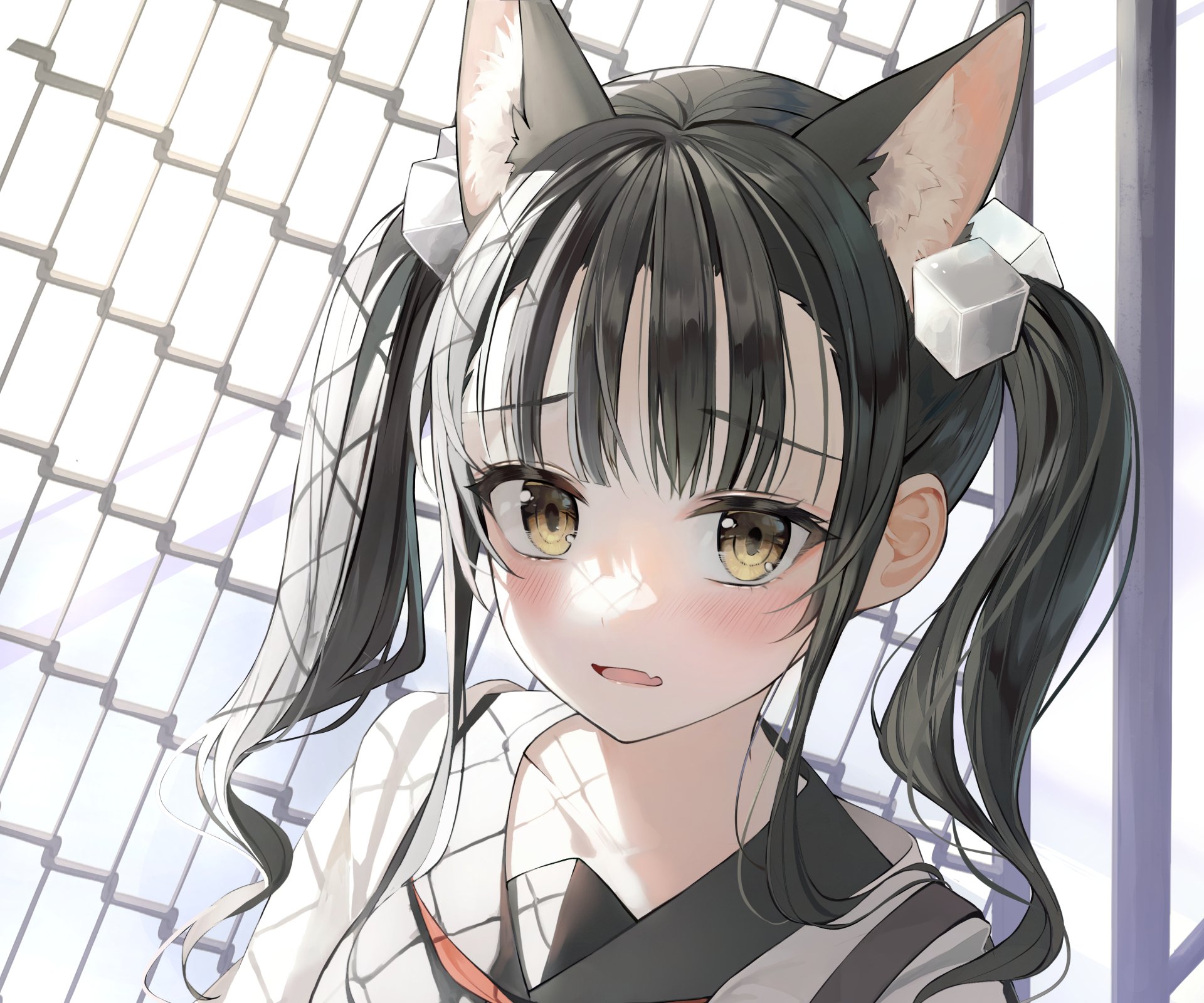 Download Anime Girl Anime Girl 4k Ultra HD Wallpaper by animal_ears