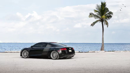 vehicle Audi R8 HD Desktop Wallpaper | Background Image