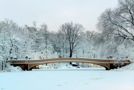 bridge snow winter man made Central Park HD Desktop Wallpaper | Background Image