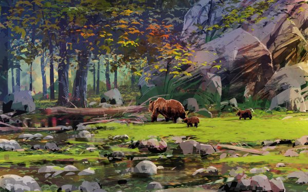 Animal Bear Bears HD Wallpaper | Background Image