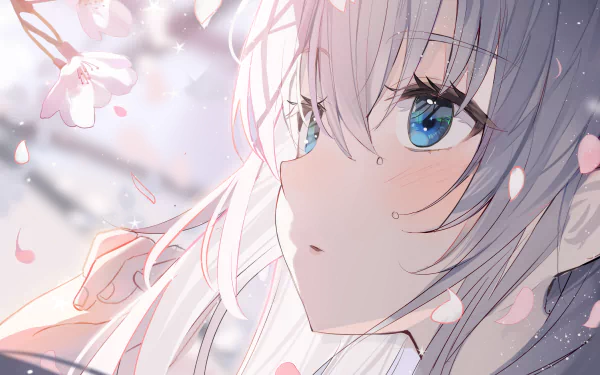 HD anime desktop wallpaper featuring a close-up of a girl with silver hair and striking blue eyes, surrounded by soft pink cherry blossom petals.