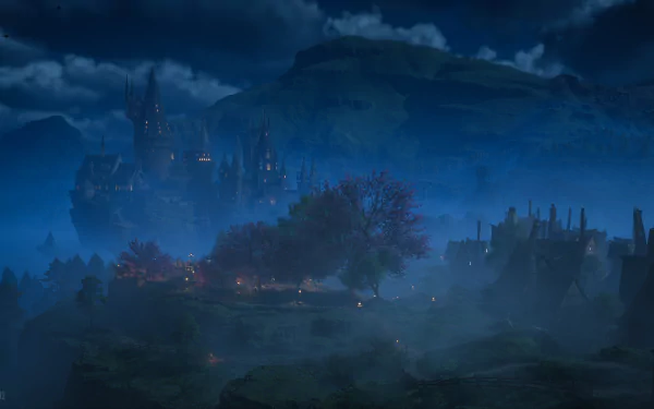  Hogwarts Legacy / What a View
