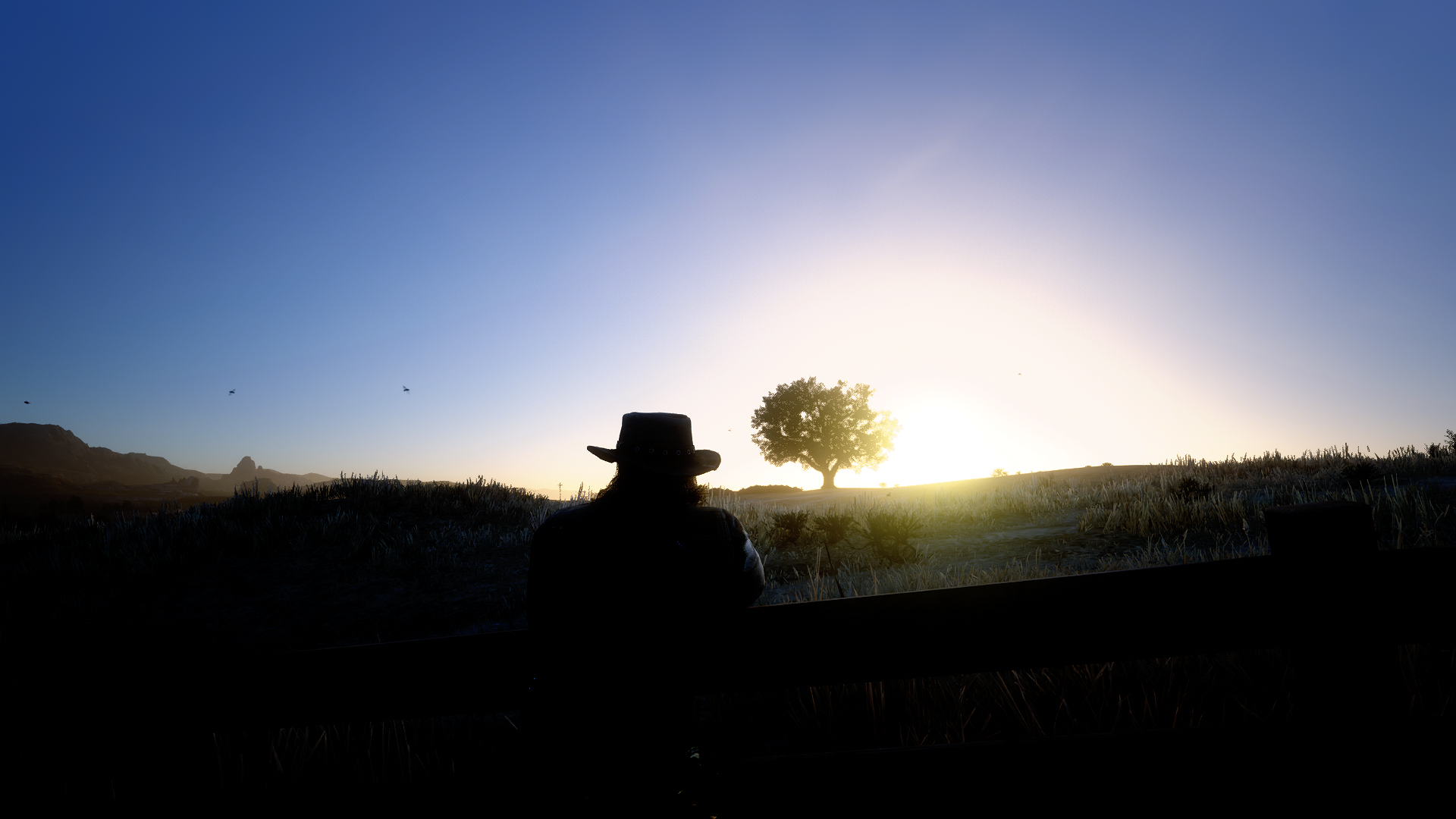 John Marston at the Ranch by skan76