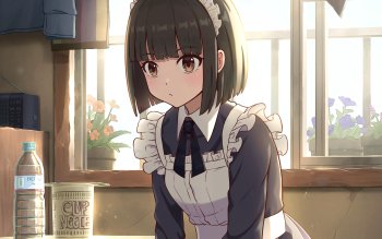 2700+] Anime Girl Backgrounds