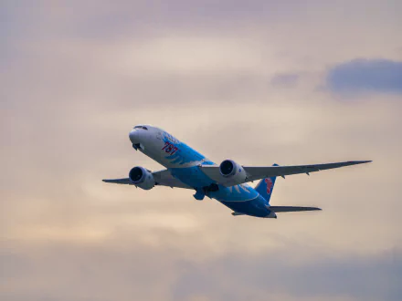  the 787th Boeing 787