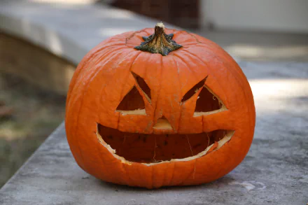 jack-o'-lantern holiday halloween Pumpkinhead HD Desktop Wallpaper | Background Image