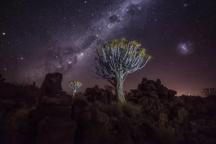 nature night HD Desktop Wallpaper | Background Image