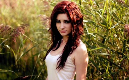 HD desktop wallpaper featuring Susan Coffey standing in a field of tall grass, illuminated by natural light.