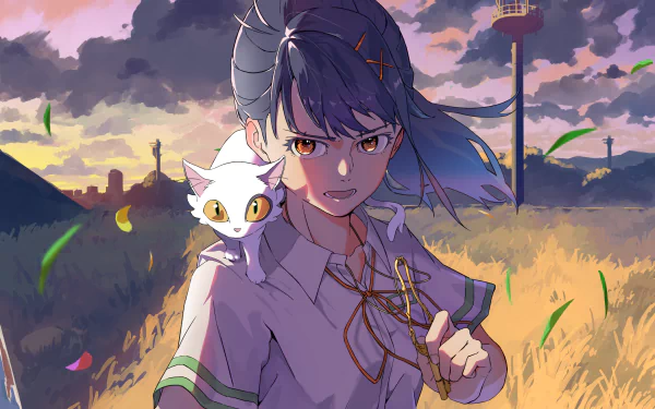 2K Quad HD PC wallpaper: Suzume Iwato (Daijin) from the anime Suzume no Tojimari — determined in school uniform with a white cat on her shoulder in a golden field at sunset.