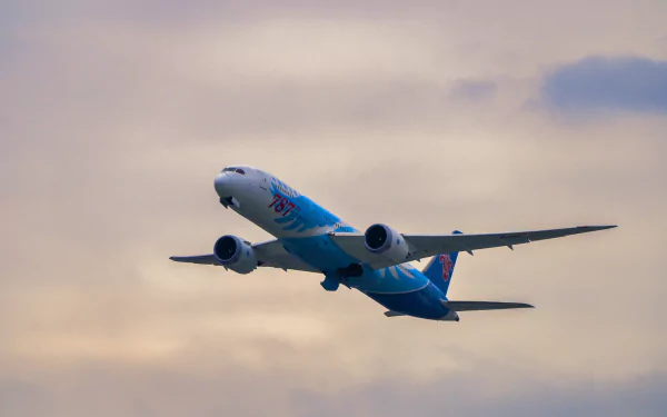 the 787th Boeing 787