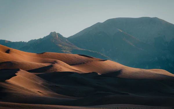 Spectacular desert landscape with sandy dunes and a clear blue sky, perfect for an HD desktop wallpaper.