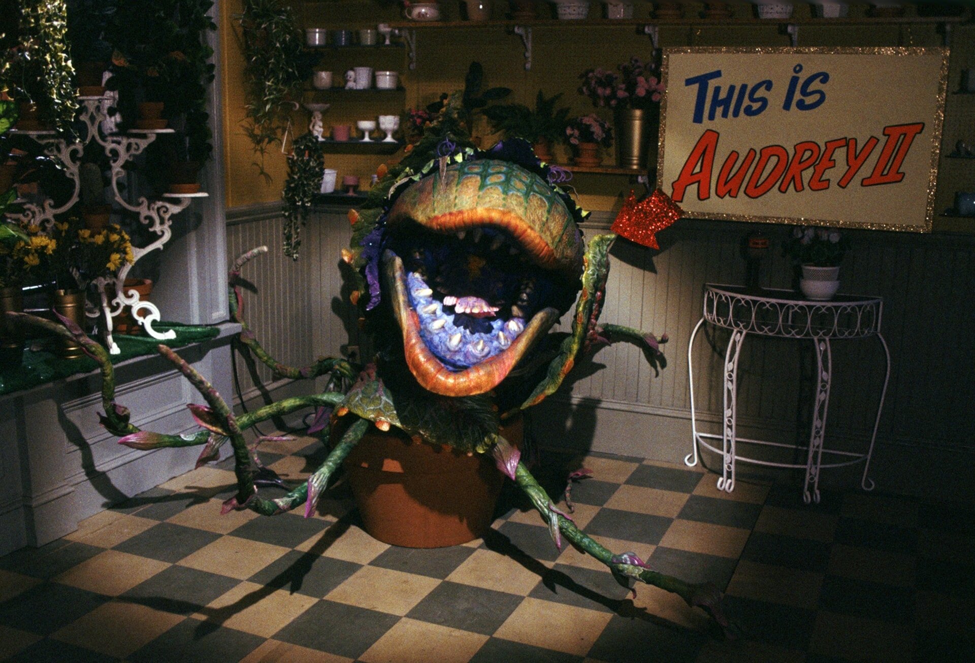 Download Movie Little Shop Of Horrors HD Wallpaper