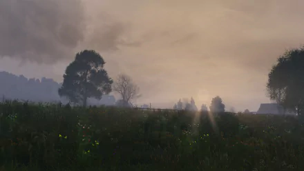 video game DayZ HD Desktop Wallpaper | Background Image