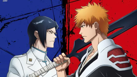 HD PC desktop wallpaper featuring Ichigo Kurosaki and Uryu Ishida from the anime Bleach: Thousand-Year Blood War, set against a contrasting red and blue background.